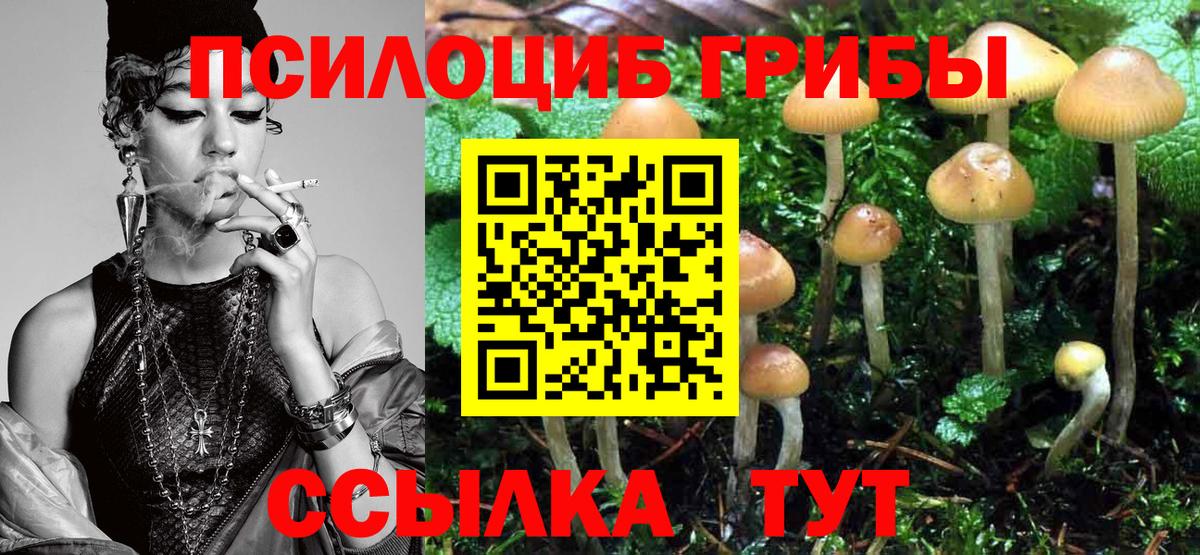 Галлюциногенные грибы Psilocybe Артём
