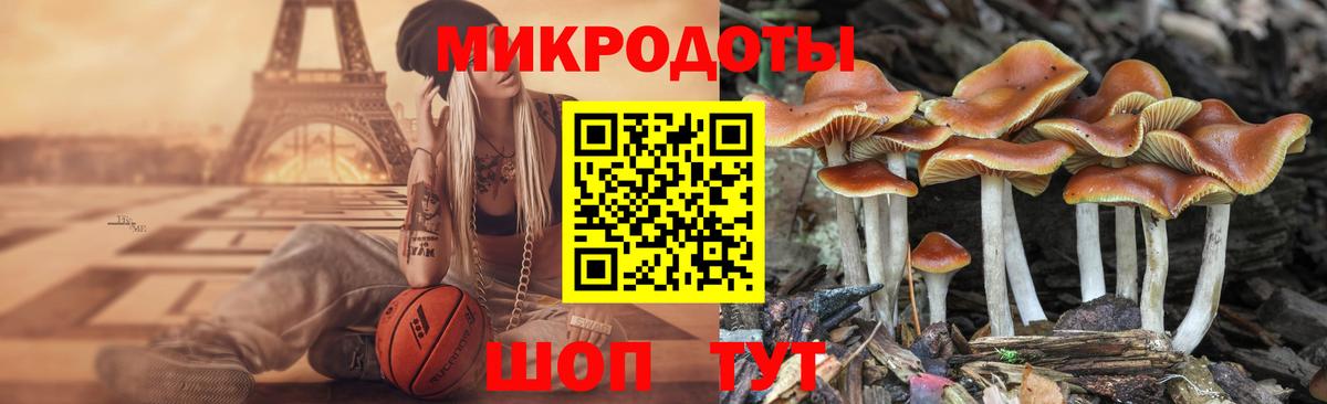 Артём  купить наркоту  Галлюциногенные грибы Psilocybe  Вход с VPN  Галлюциногенные грибы Magic Shrooms 